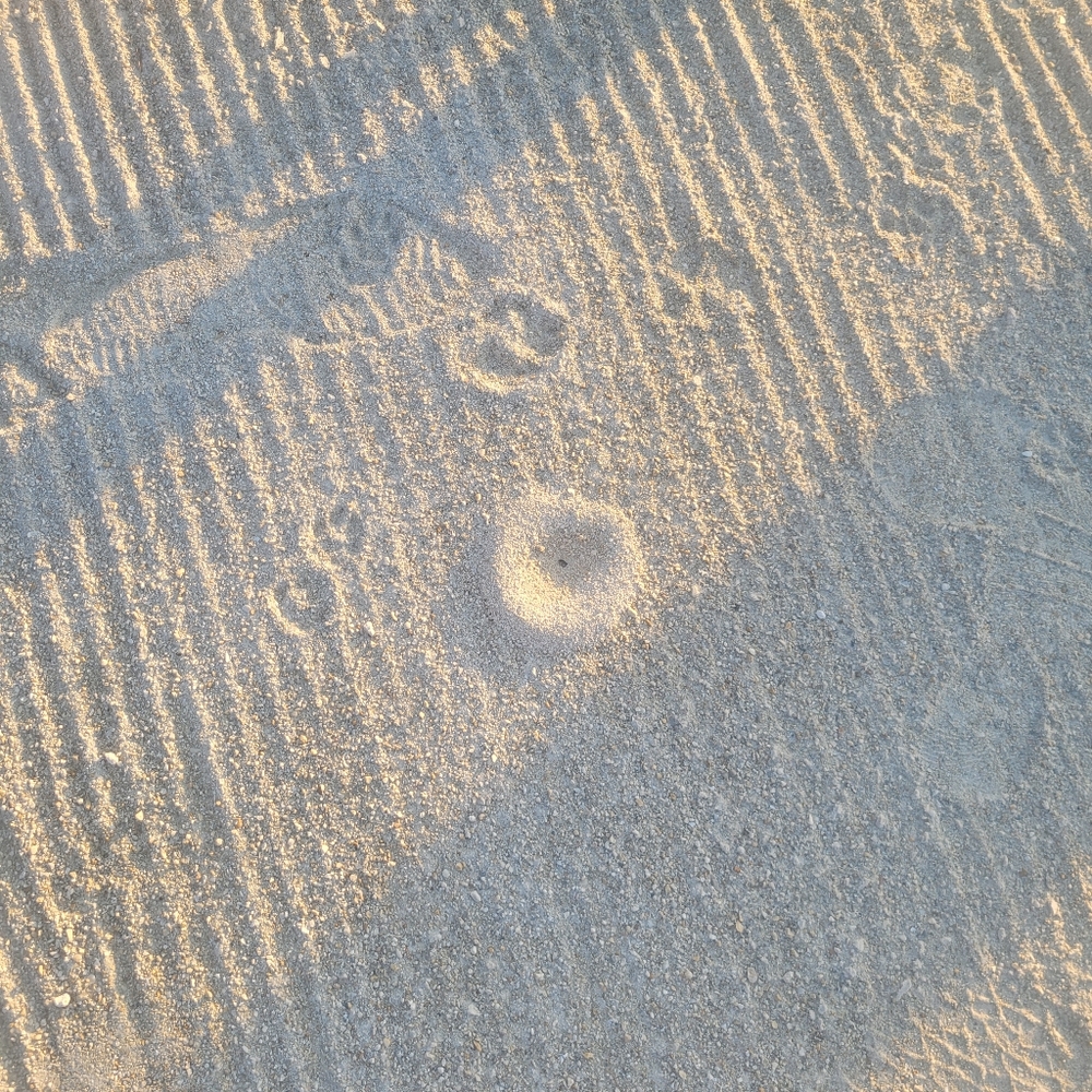 Beachday